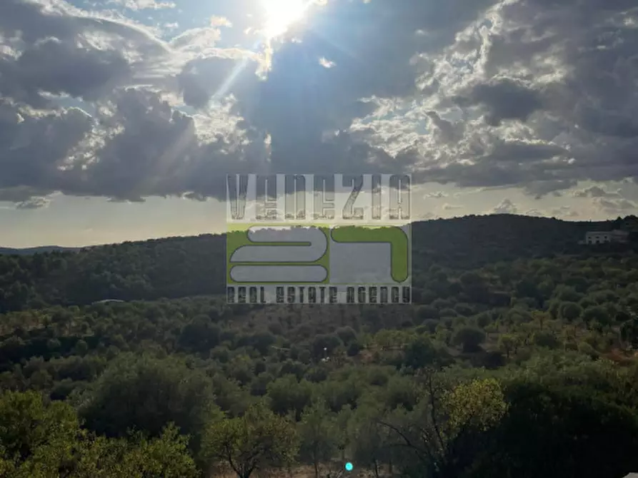 Immagine 23 di Agriturismo in vendita  in san paolo a Noto