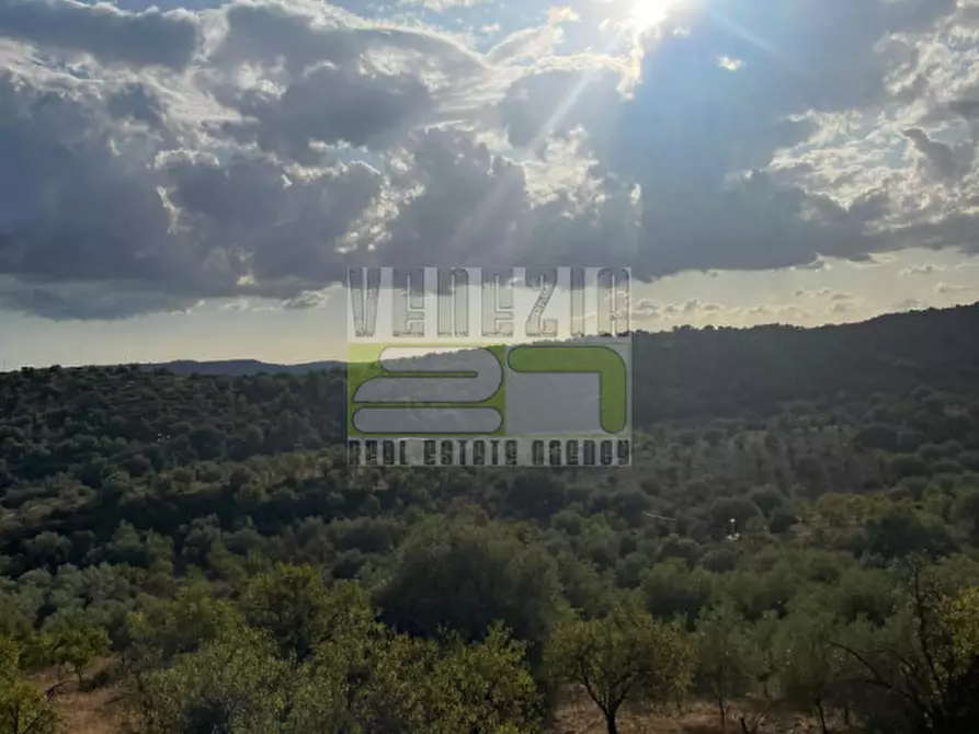 Immagine 30 di Agriturismo in vendita  in san paolo a Noto