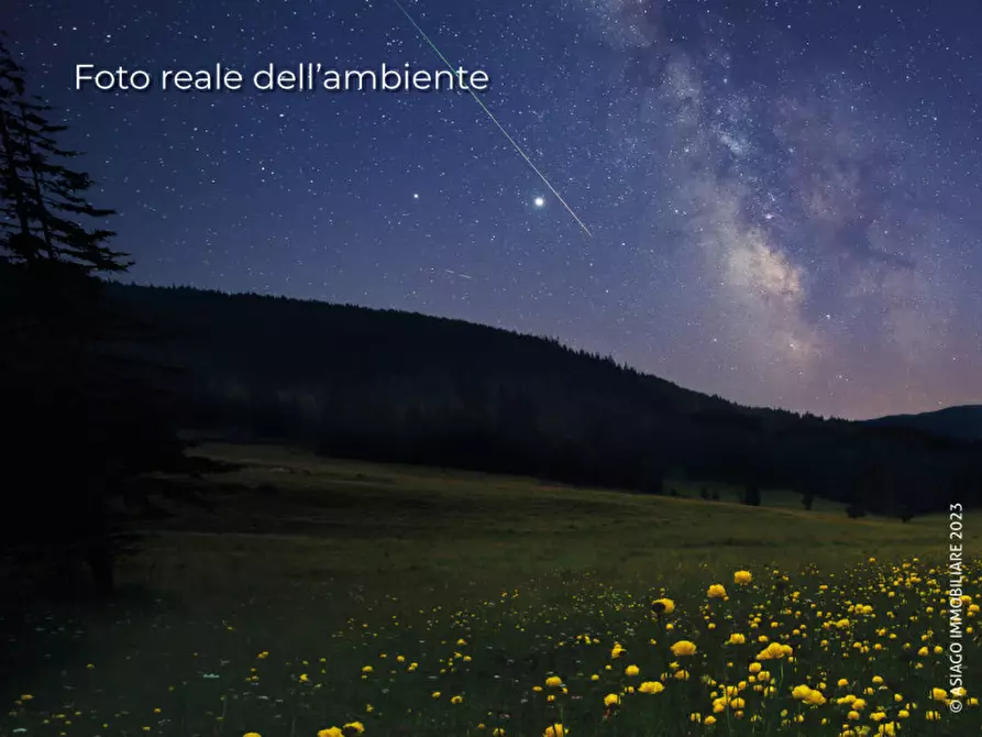 Immagine 21 di Appartamento in vendita  in Via Lamara, 33 a Asiago