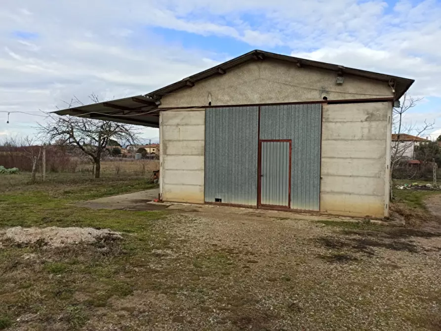 Immagine 2 di Capannone industriale in vendita  in località pucciarelli a Castiglione Del Lago
