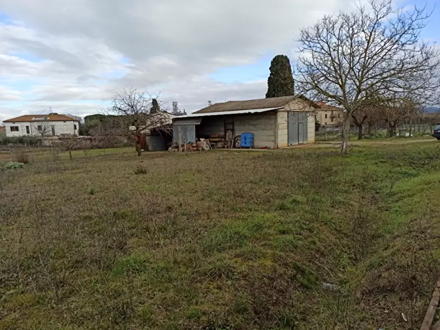 Immagine 3 di Capannone industriale in vendita  in località pucciarelli a Castiglione Del Lago