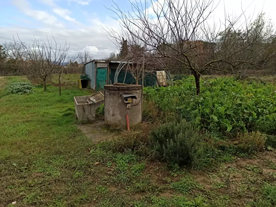 Immagine 4 di Capannone industriale in vendita  in località pucciarelli a Castiglione Del Lago