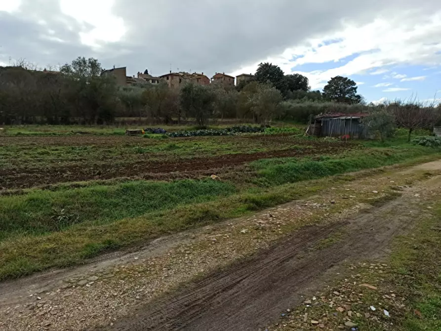 Immagine 5 di Capannone industriale in vendita  in località pucciarelli a Castiglione Del Lago