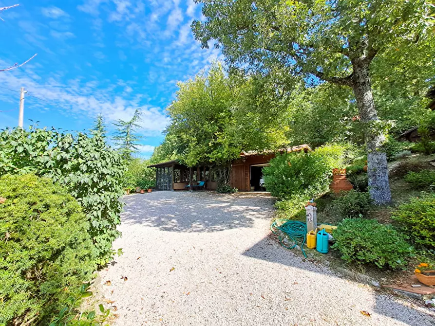 Immagine 34 di Villa in vendita  a Passignano Sul Trasimeno