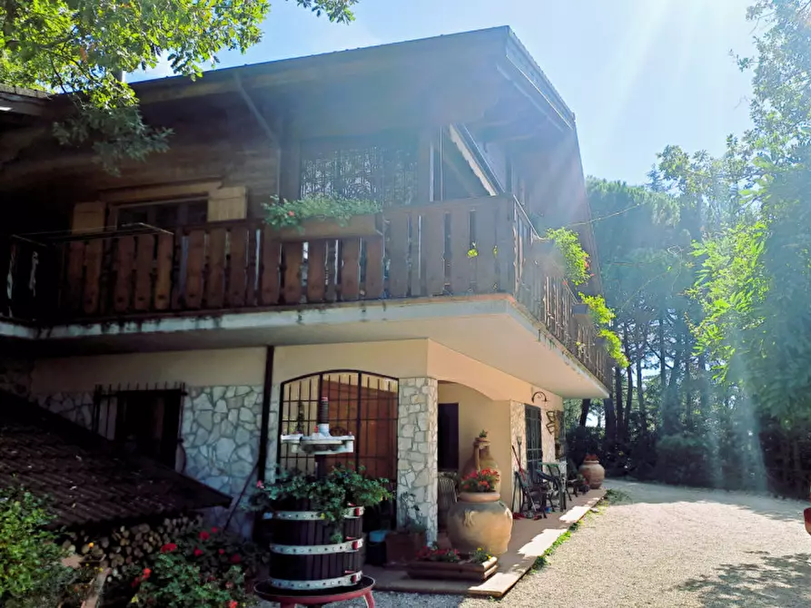 Immagine 36 di Villa in vendita  a Passignano Sul Trasimeno