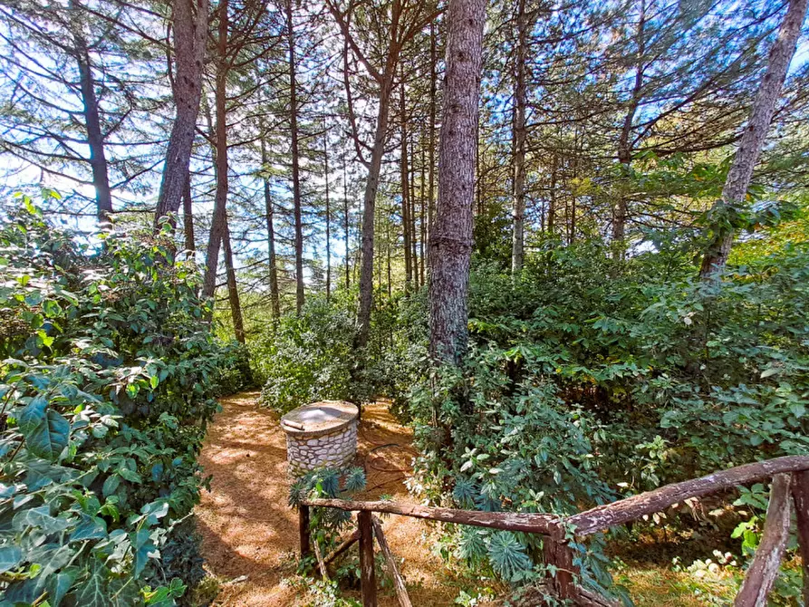 Immagine 38 di Villa in vendita  a Passignano Sul Trasimeno