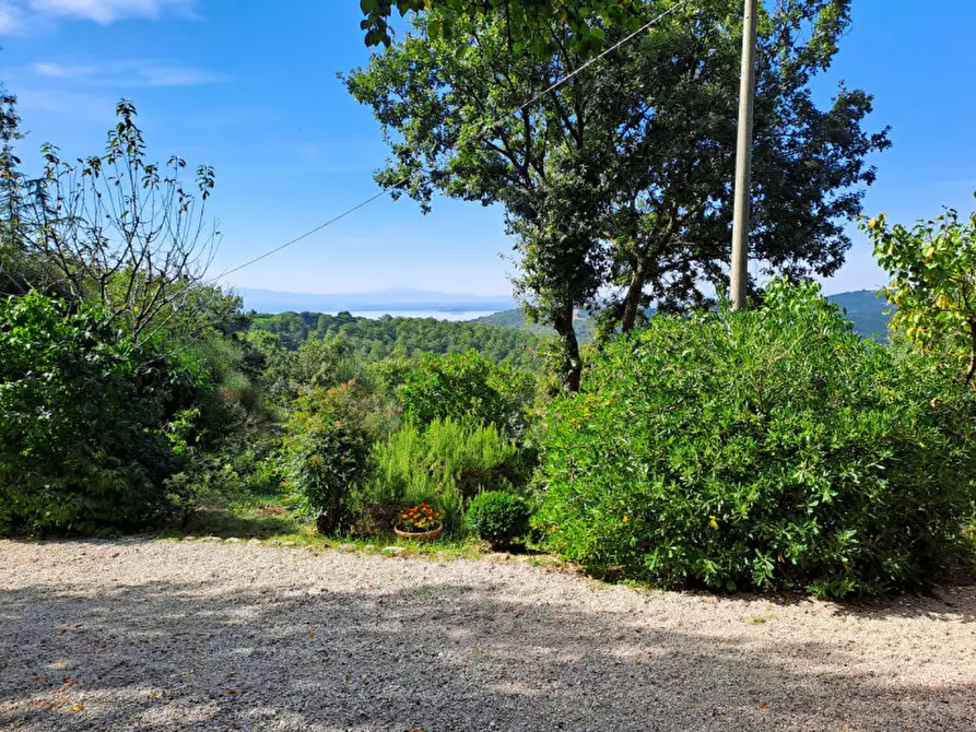 Immagine 39 di Villa in vendita  a Passignano Sul Trasimeno