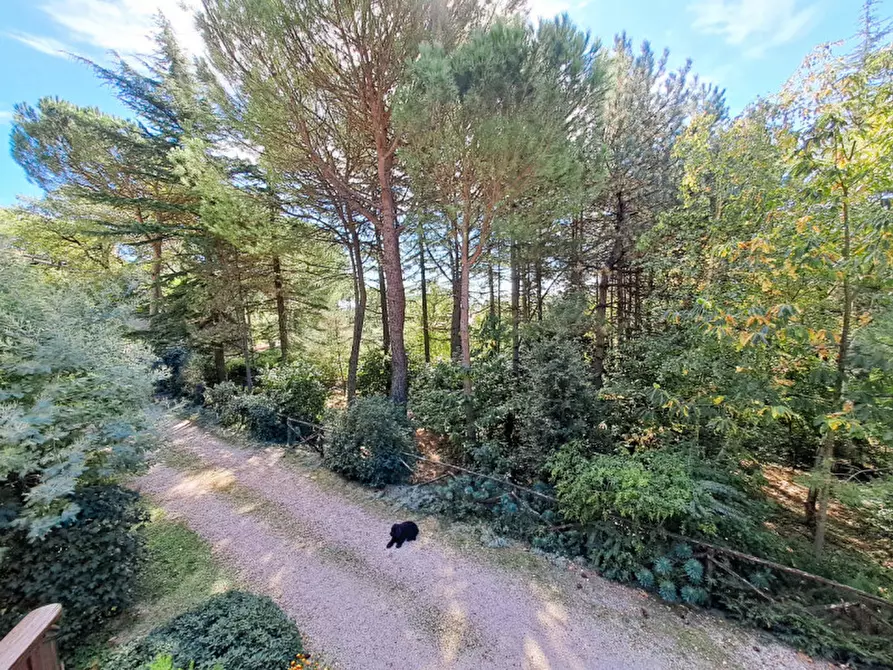 Immagine 44 di Villa in vendita  a Passignano Sul Trasimeno