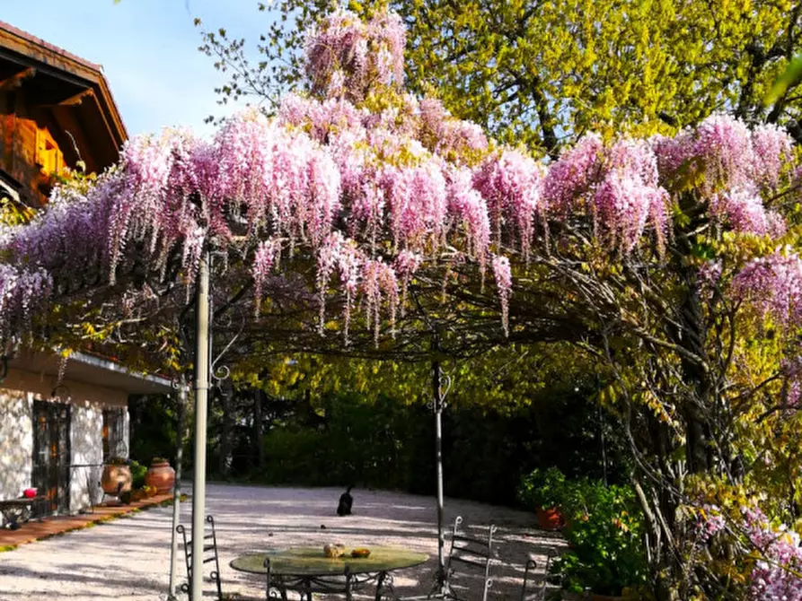 Immagine 46 di Villa in vendita  a Passignano Sul Trasimeno