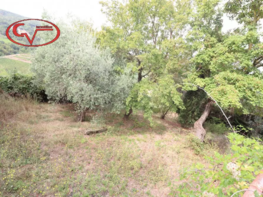 Immagine 32 di Casa indipendente in vendita  in Greve in Chianti a Greve In Chianti