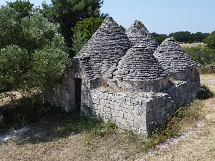 Immagine 1 di Rustico / casale in vendita  in Strada Casette del vento a Martina Franca