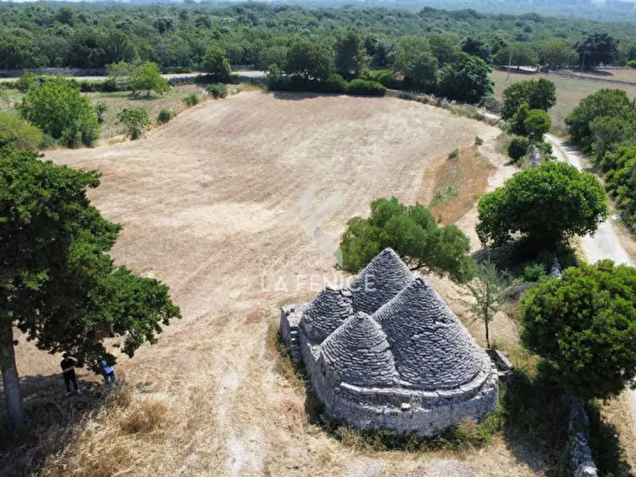 Immagine 2 di Rustico / casale in vendita  in Strada Casette del vento a Martina Franca