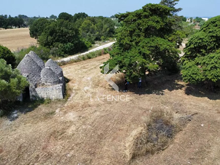 Immagine 6 di Rustico / casale in vendita  in Strada Casette del vento a Martina Franca