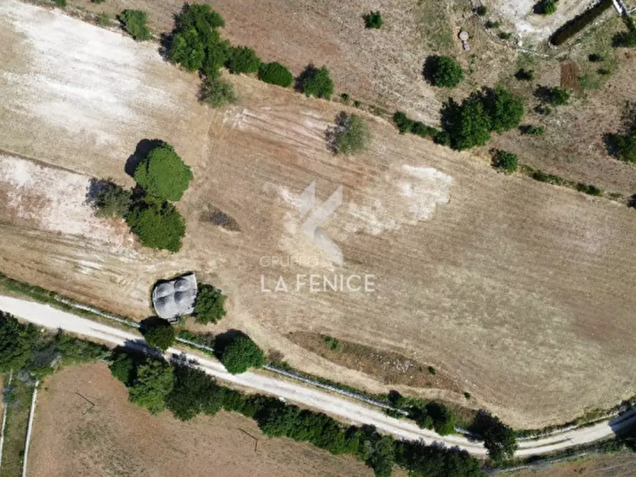 Immagine 10 di Rustico / casale in vendita  in Strada Casette del vento a Martina Franca