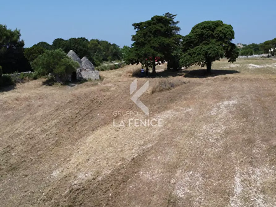 Immagine 12 di Rustico / casale in vendita  in Strada Casette del vento a Martina Franca