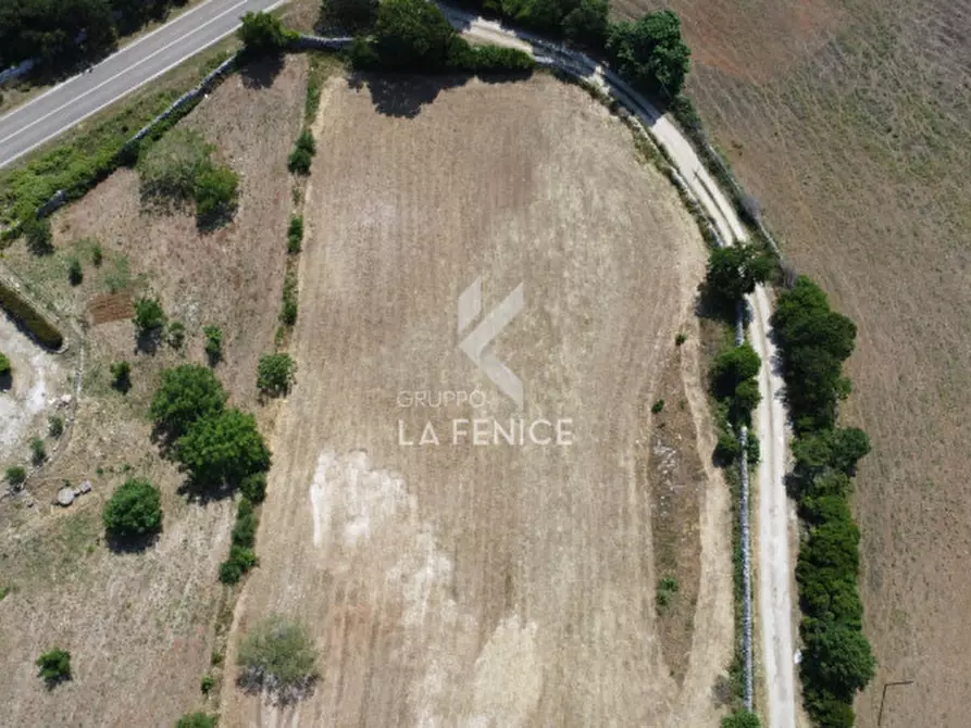 Immagine 13 di Rustico / casale in vendita  in Strada Casette del vento a Martina Franca