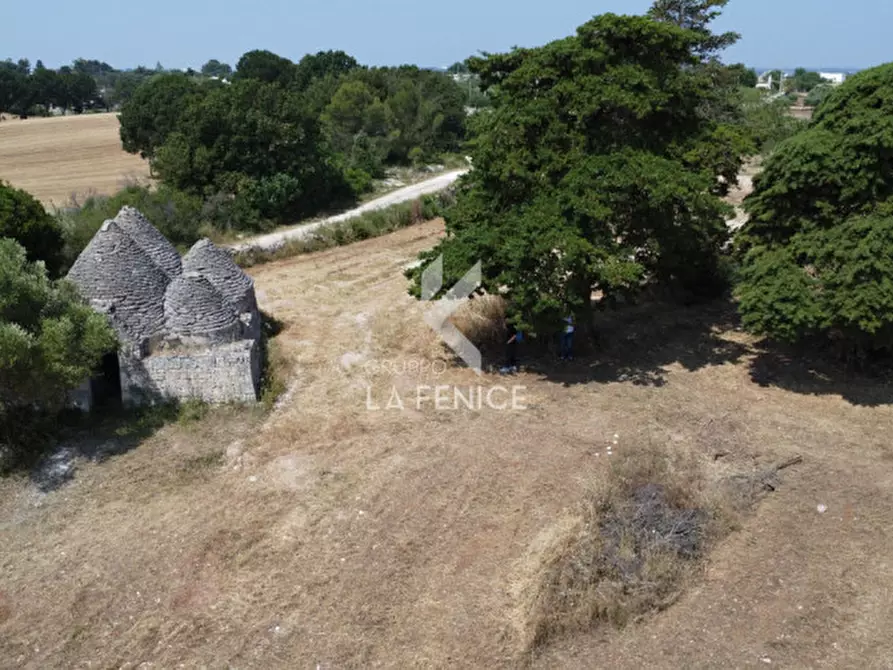 Immagine 15 di Rustico / casale in vendita  in Strada Casette del vento a Martina Franca