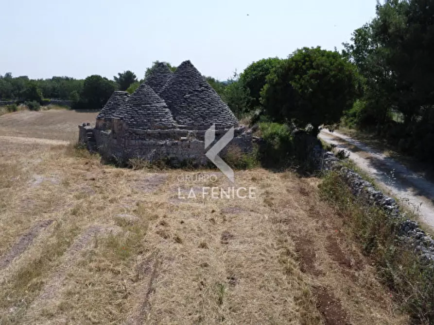 Immagine 16 di Rustico / casale in vendita  in Strada Casette del vento a Martina Franca