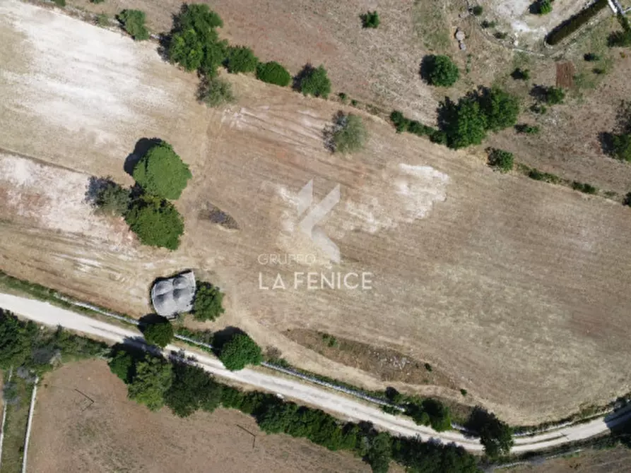 Immagine 17 di Rustico / casale in vendita  in Strada Casette del vento a Martina Franca