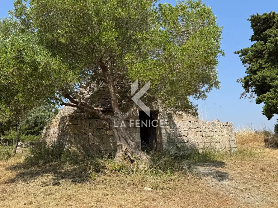 Immagine 21 di Rustico / casale in vendita  in Strada Casette del vento a Martina Franca