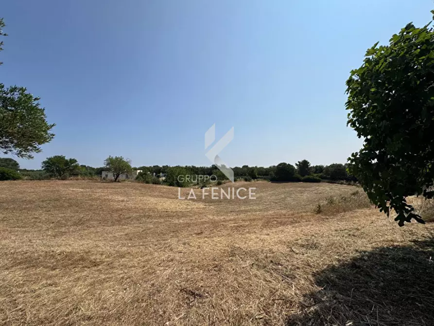 Immagine 33 di Rustico / casale in vendita  in Strada Casette del vento a Martina Franca