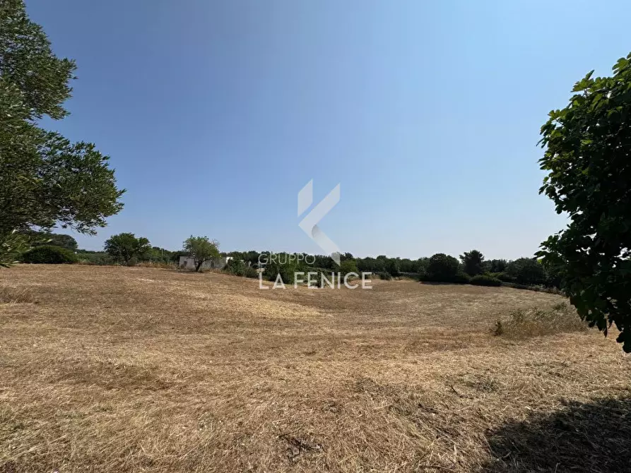 Immagine 34 di Rustico / casale in vendita  in Strada Casette del vento a Martina Franca