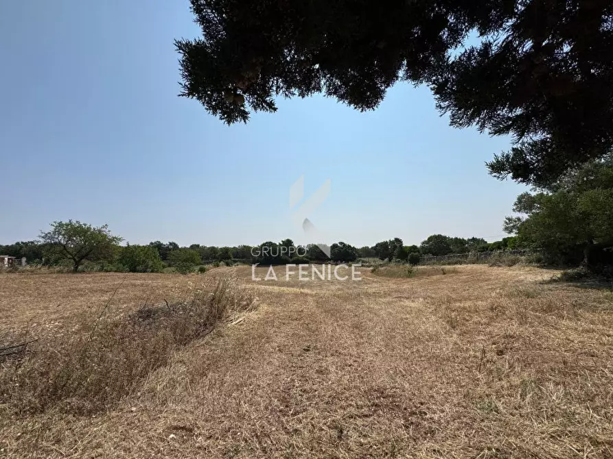 Immagine 36 di Rustico / casale in vendita  in Strada Casette del vento a Martina Franca