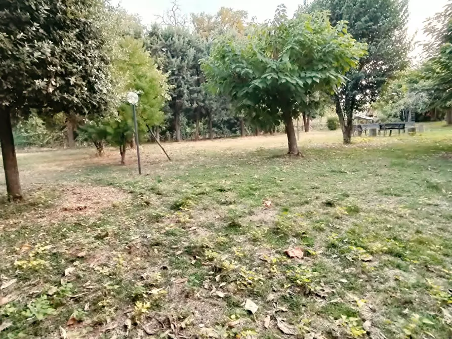 Immagine 15 di Appartamento in vendita  in Via Molise a Terni