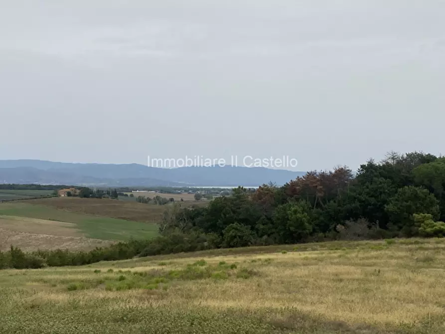 Immagine 21 di Rustico / casale in vendita  a Castiglione Del Lago