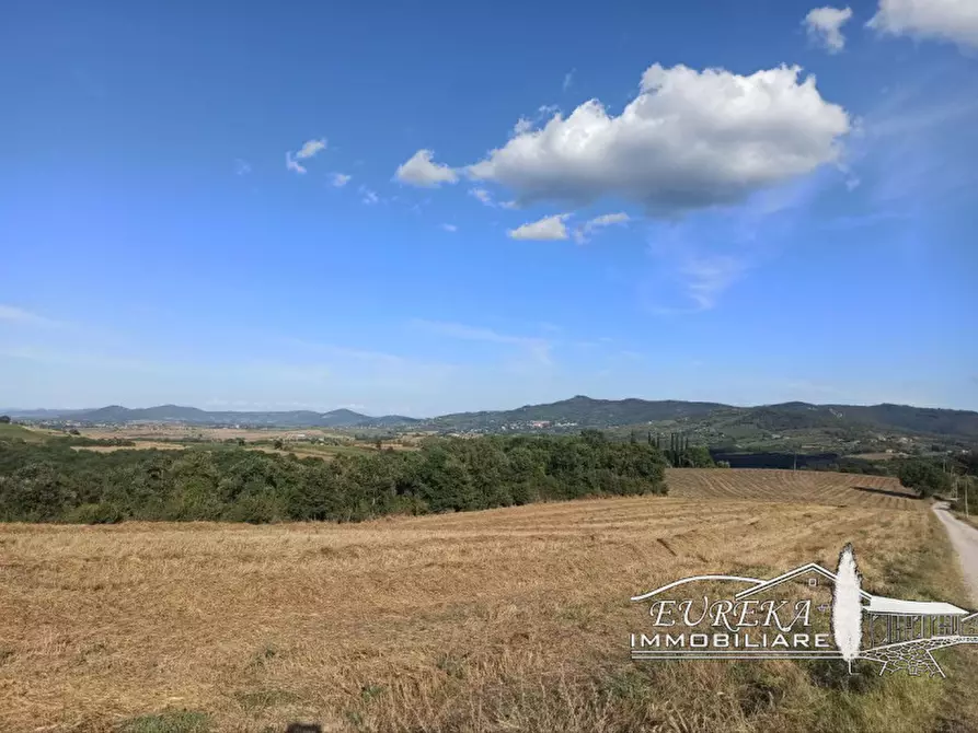 Immagine 46 di Rustico / casale in vendita  in cantagallina a Castiglione Del Lago