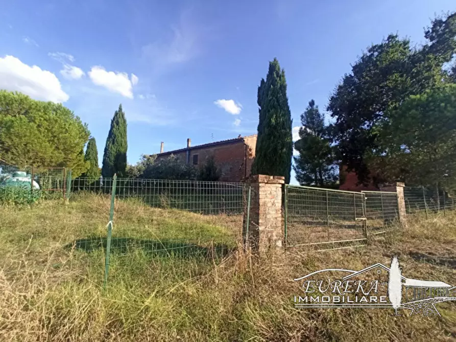 Immagine 47 di Rustico / casale in vendita  in cantagallina a Castiglione Del Lago