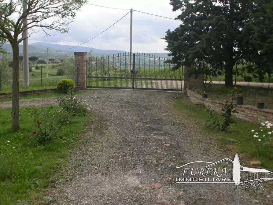 Immagine 48 di Rustico / casale in vendita  in cantagallina a Castiglione Del Lago