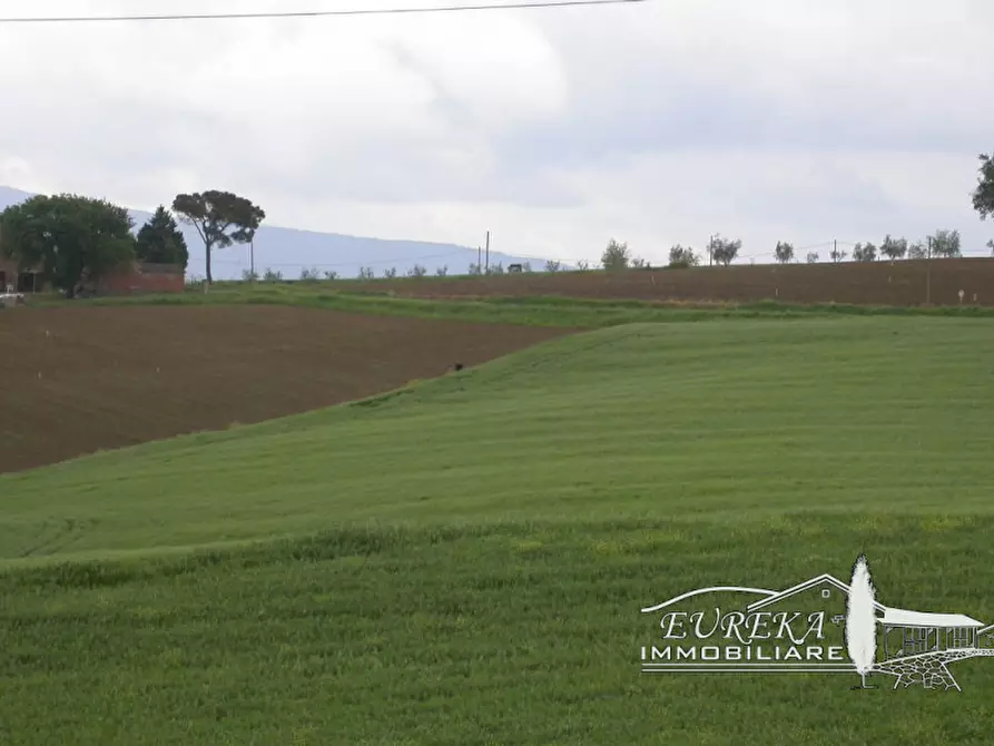 Immagine 49 di Rustico / casale in vendita  in cantagallina a Castiglione Del Lago