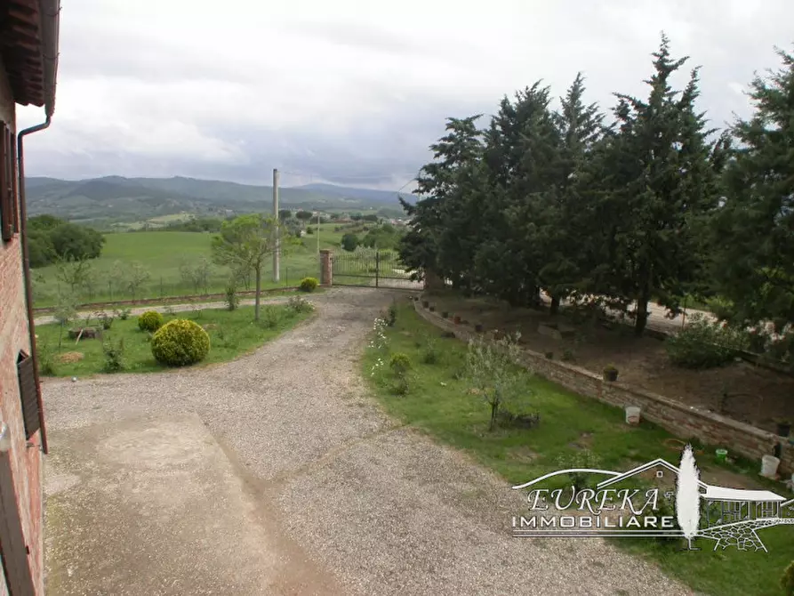 Immagine 50 di Rustico / casale in vendita  in cantagallina a Castiglione Del Lago