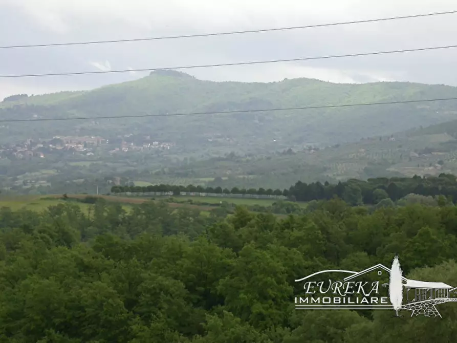 Immagine 51 di Rustico / casale in vendita  in cantagallina a Castiglione Del Lago
