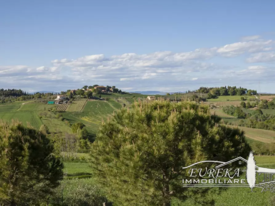 Immagine 54 di Rustico / casale in vendita  in cantagallina a Castiglione Del Lago