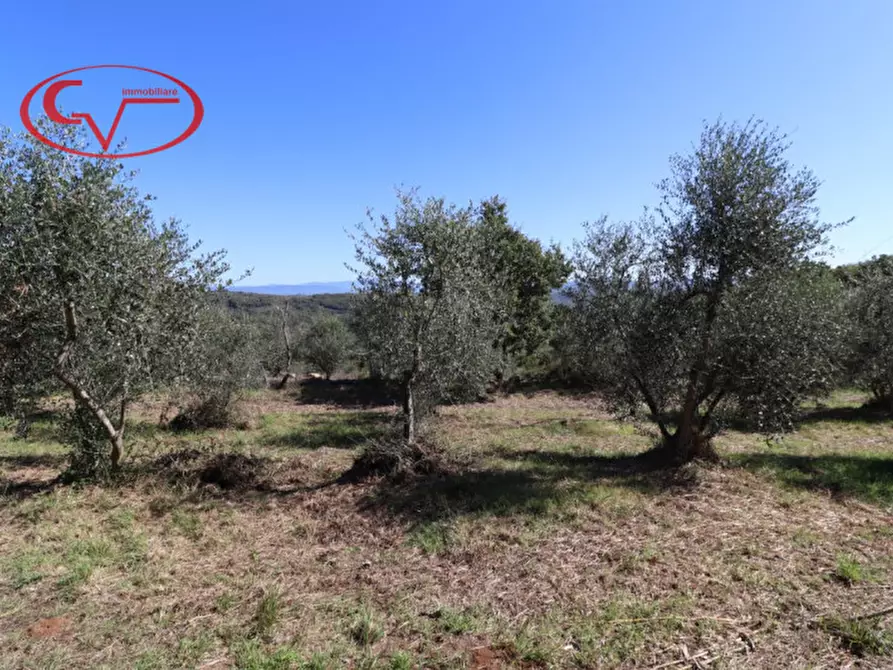 Immagine 5 di Villa in vendita  in duddova a Bucine