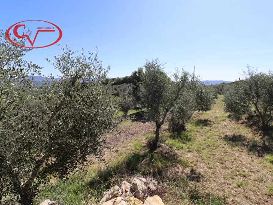 Immagine 6 di Villa in vendita  in duddova a Bucine