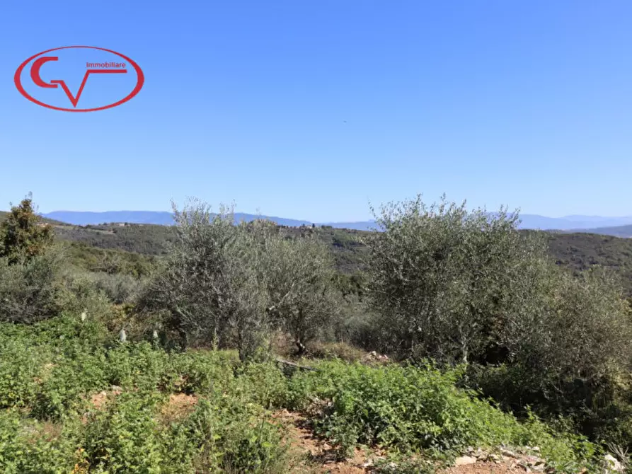 Immagine 7 di Villa in vendita  in duddova a Bucine