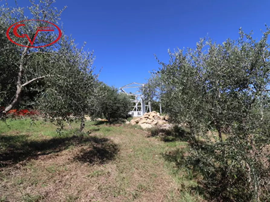 Immagine 19 di Villa in vendita  in duddova a Bucine