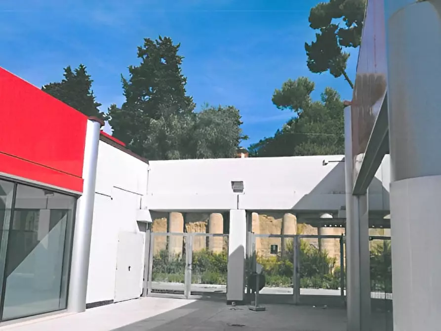 Immagine 15 di Attività commerciale in vendita  in Contrada Rio Moro a Colonnella