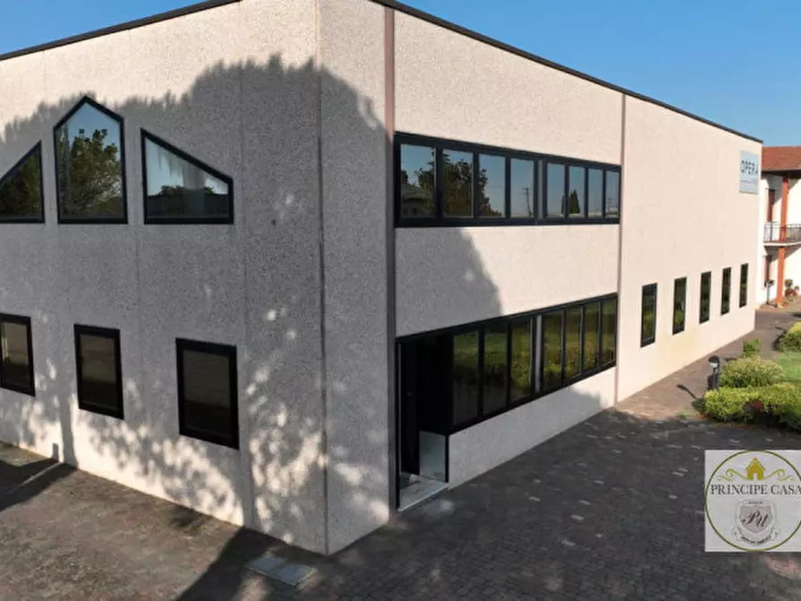 Immagine 2 di Capannone industriale in vendita  a Casale Di Scodosia