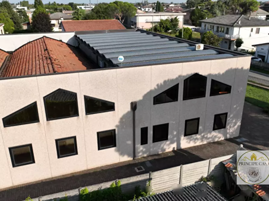 Immagine 3 di Capannone industriale in vendita  a Casale Di Scodosia