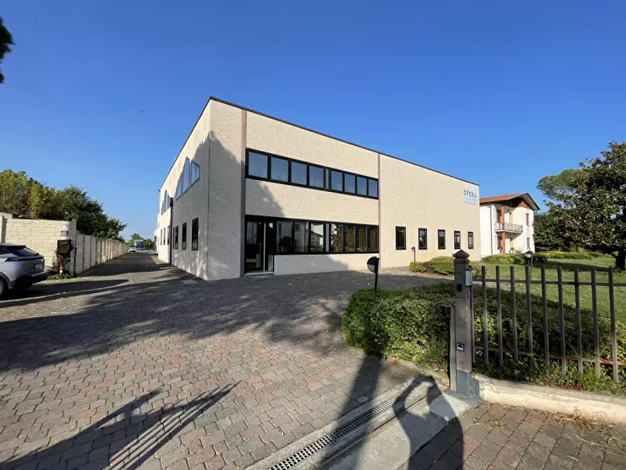 Immagine 5 di Capannone industriale in vendita  a Casale Di Scodosia