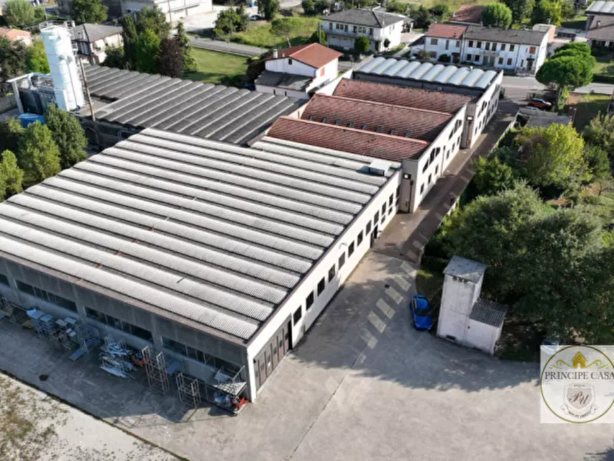 Immagine 6 di Capannone industriale in vendita  a Casale Di Scodosia