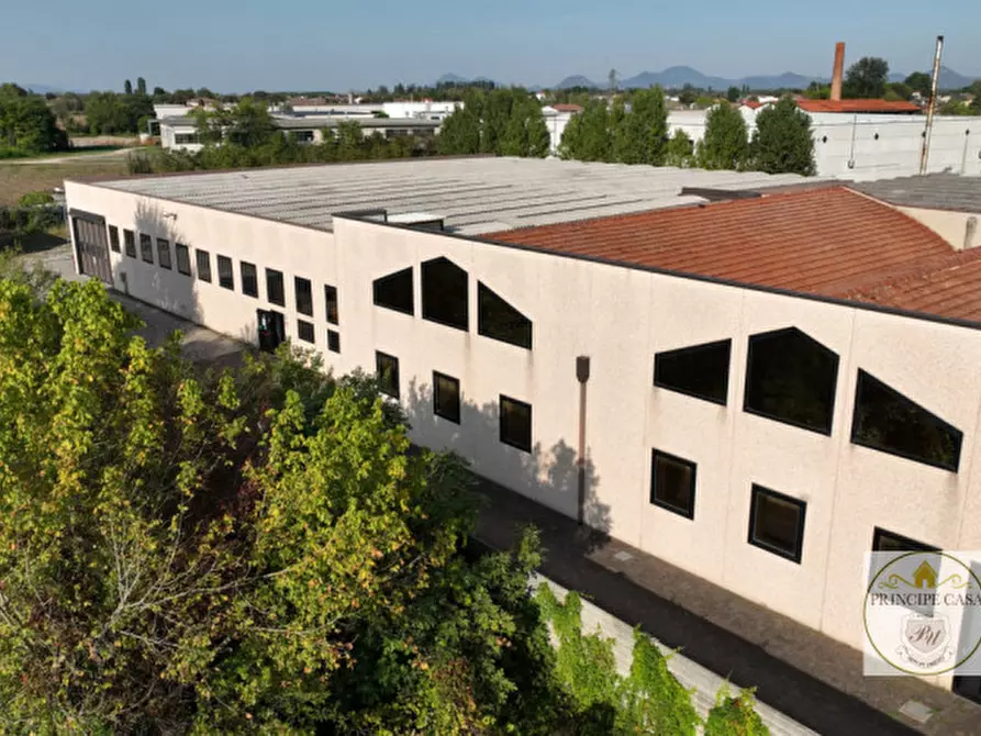 Immagine 7 di Capannone industriale in vendita  a Casale Di Scodosia