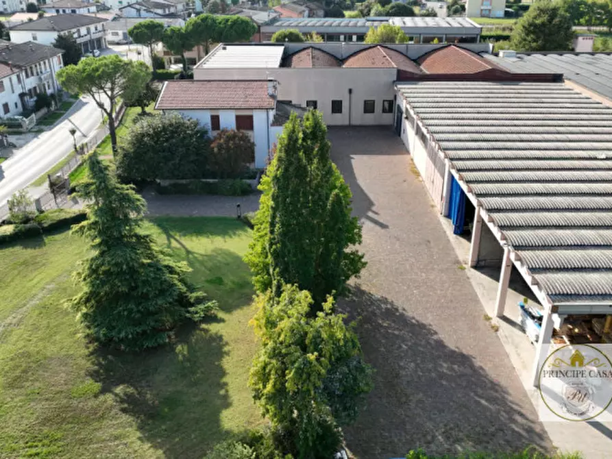 Immagine 8 di Capannone industriale in vendita  a Casale Di Scodosia