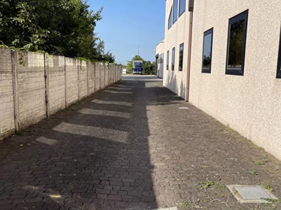 Immagine 11 di Capannone industriale in vendita  a Casale Di Scodosia