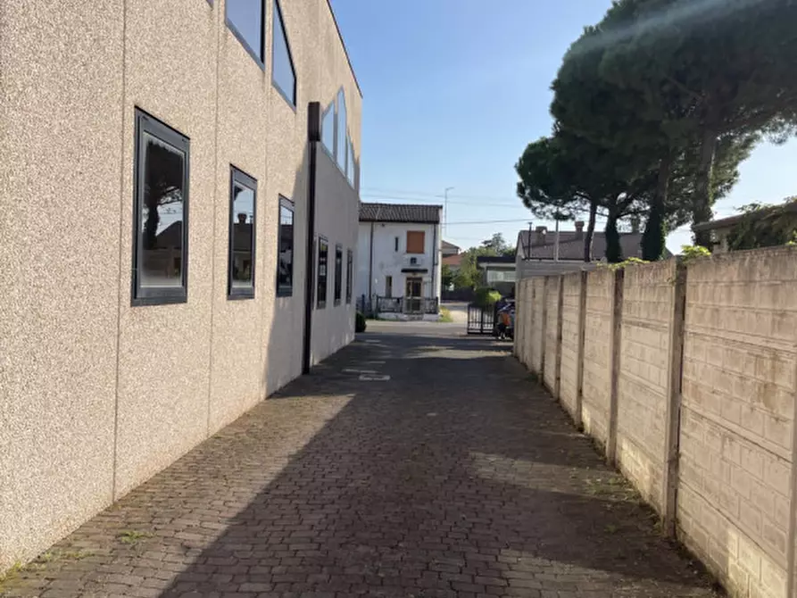 Immagine 12 di Capannone industriale in vendita  a Casale Di Scodosia