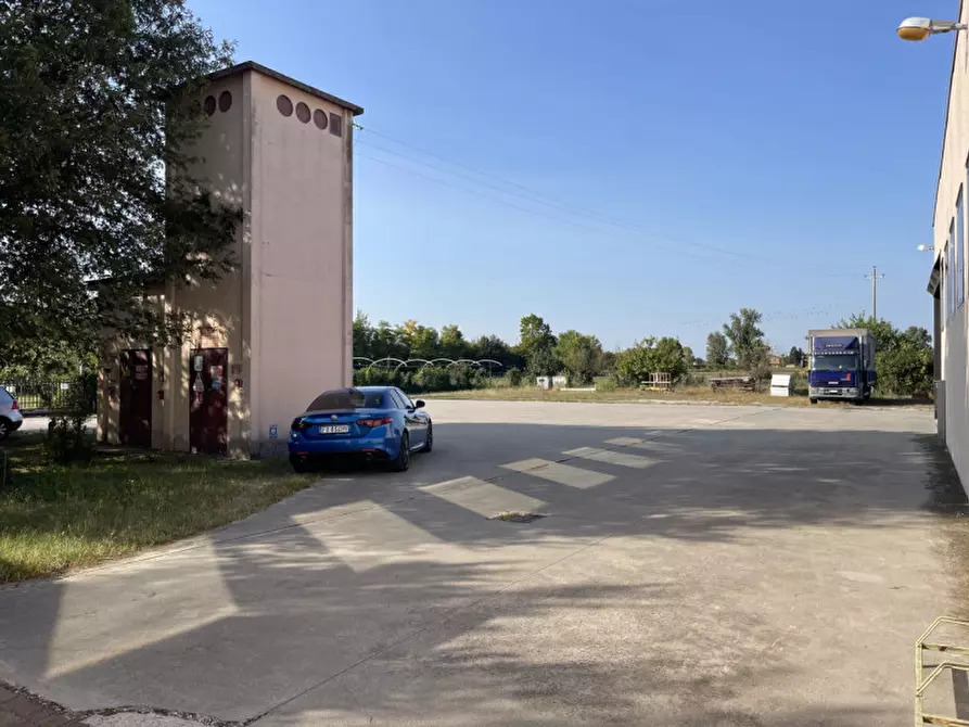 Immagine 13 di Capannone industriale in vendita  a Casale Di Scodosia